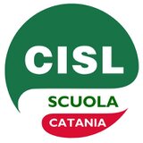 Testo nel PDF